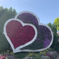 評論圖片 2