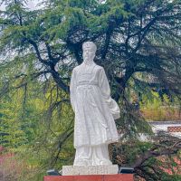 評論圖片 9