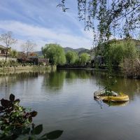 評論圖片 4