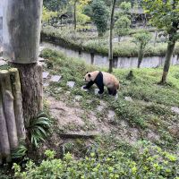 評論圖片 8