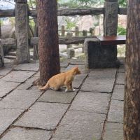 評論圖片 2
