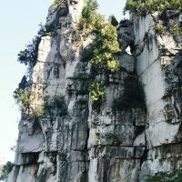 評論圖片 8