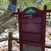 評論圖片 3