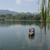 評論圖片 2