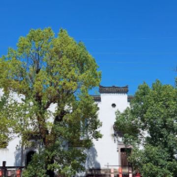 評論圖片 6