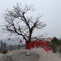 評論圖片 9