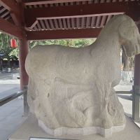 評論圖片 5
