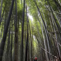 評論圖片 9