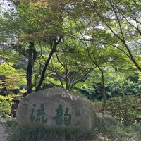 評論圖片 1