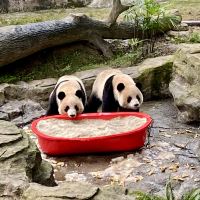 評論圖片 2