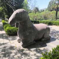 評論圖片 5