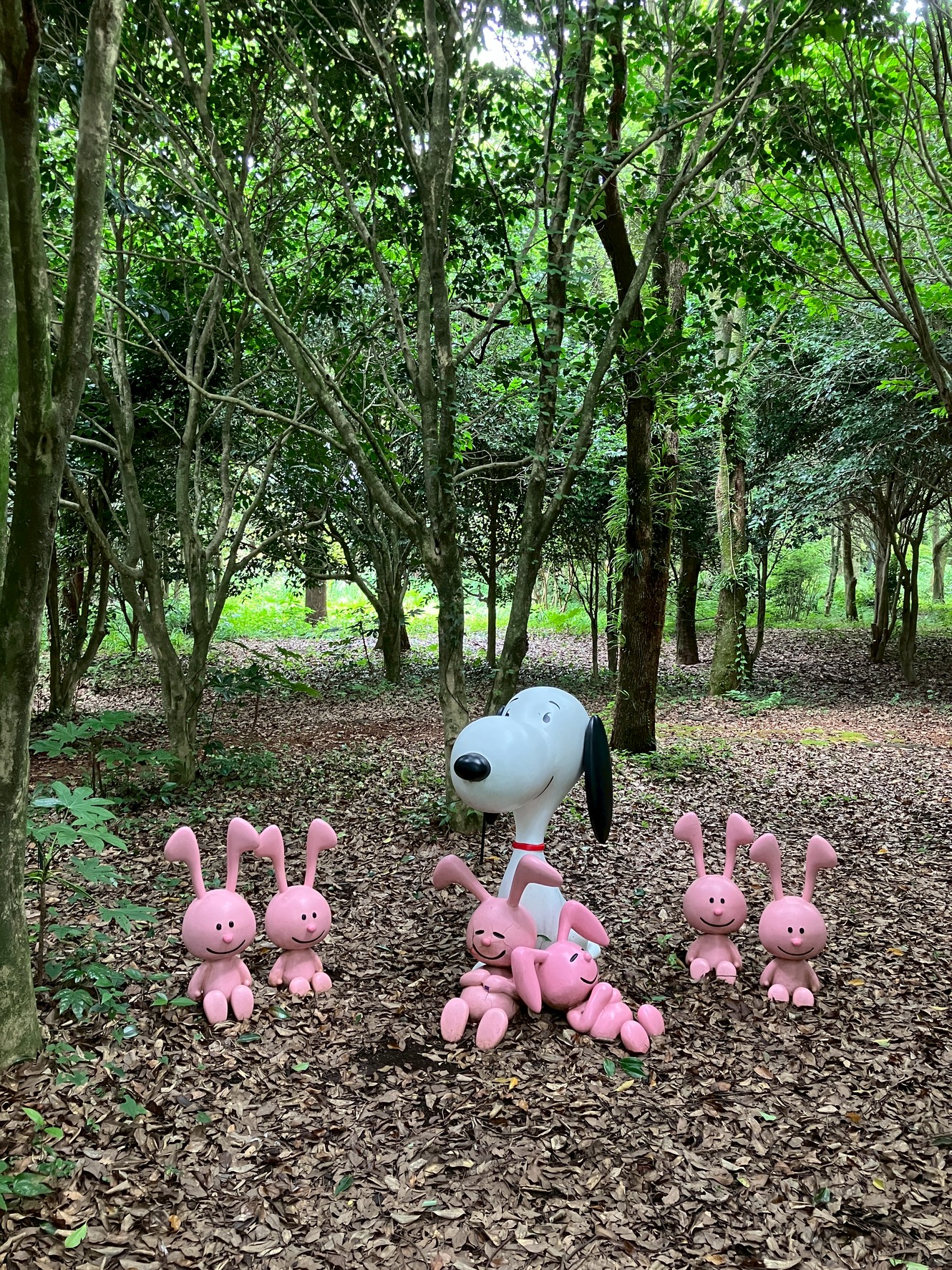 最新】スヌーピーガーデン - チケット、営業時間、口コミ、写真 [2025