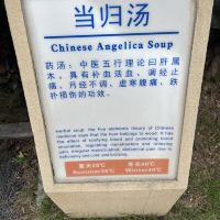 評論圖片 2