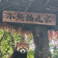 評論圖片 3
