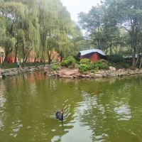 評論圖片 6