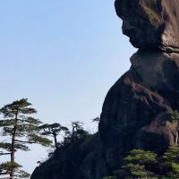 評論圖片 5