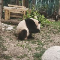 評論圖片 2