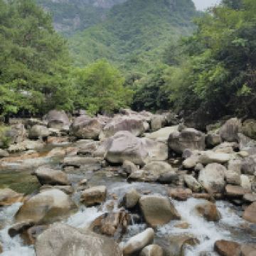 評論圖片 1