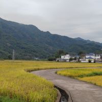 評論圖片 9