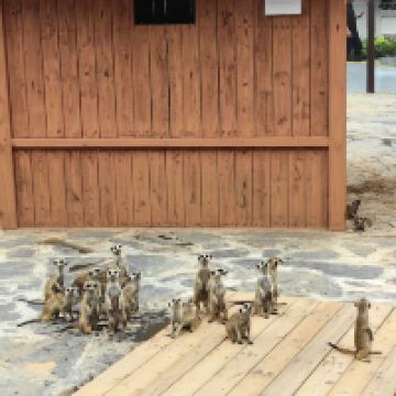 評論圖片 2