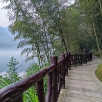 評論圖片 6