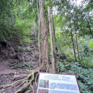 評論圖片 4