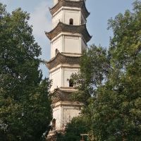 評論圖片 6