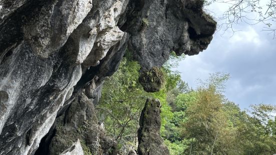 完全不一样的地质环境，到了景点门口有点疑惑会有石林吗，进入景