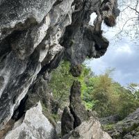 評論圖片 1