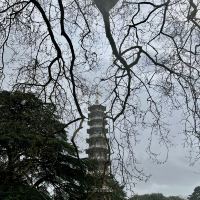 評論圖片 1