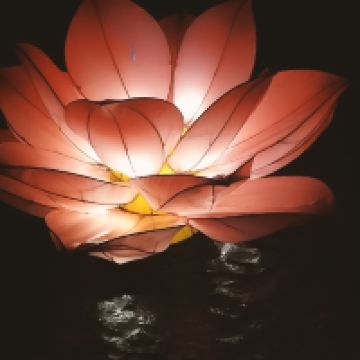 評論圖片 1