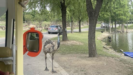 這個動物園非常推薦玩，車行區我們是包車玩的，能和小動物零距離