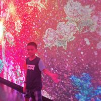 評論圖片 5