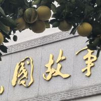 評論圖片 8