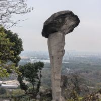 評論圖片 2