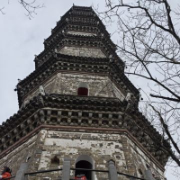 評論圖片 6