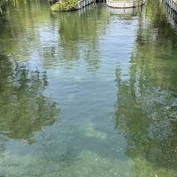 評論圖片 2