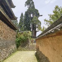 評論圖片 3