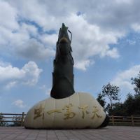 評論圖片 7