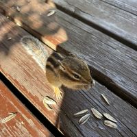 評論圖片 9