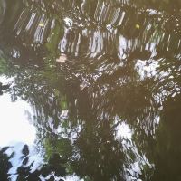 評論圖片 3