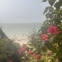 評論圖片 2