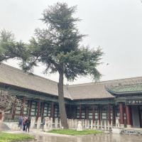 評論圖片 3