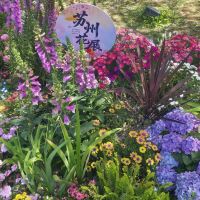 評論圖片 2