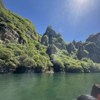 評論圖片 5