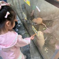 評論圖片 7