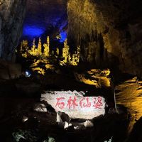 評論圖片 4