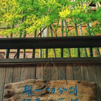評論圖片 2