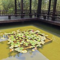 評論圖片 1