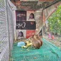評論圖片 3